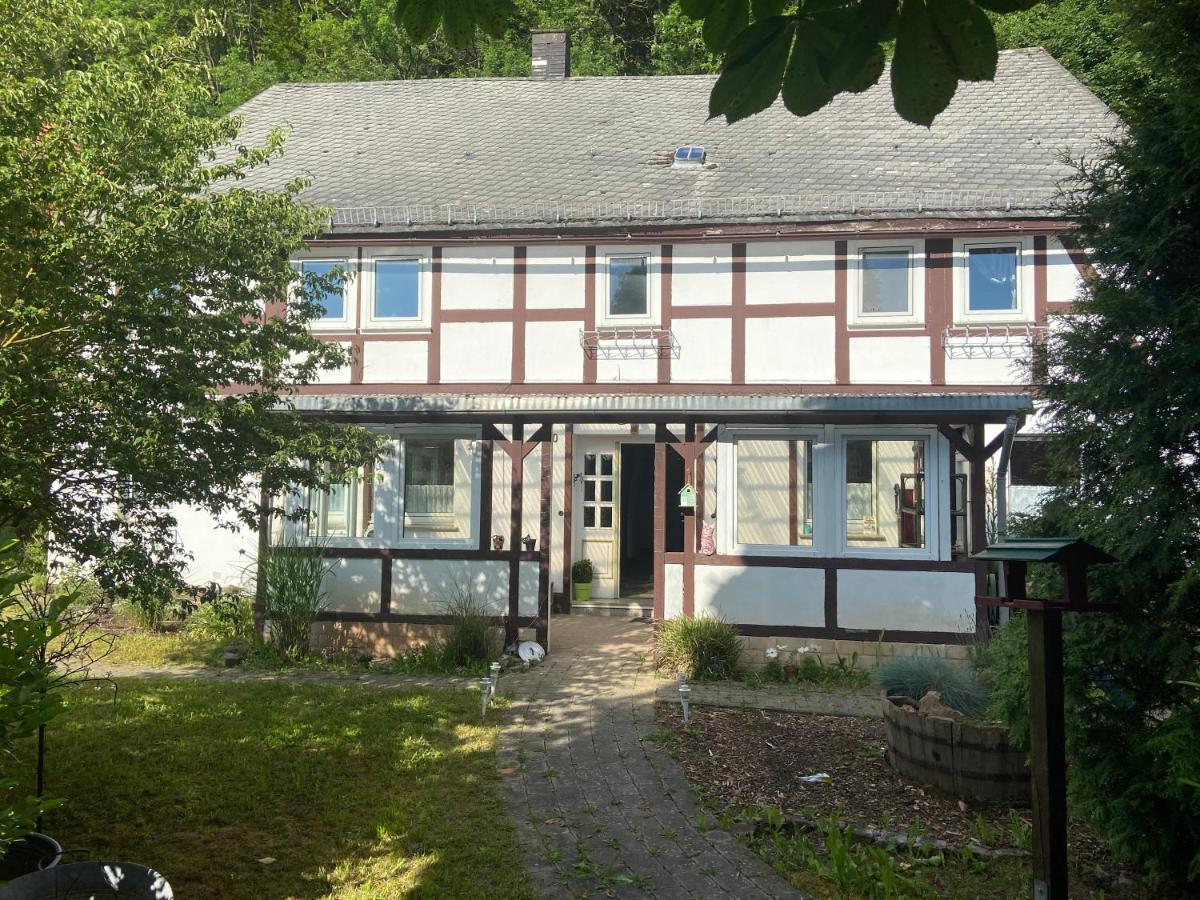 Zeitreise- Haus Mit 5 Schlafzimmern Diemelsee Kültér fotó